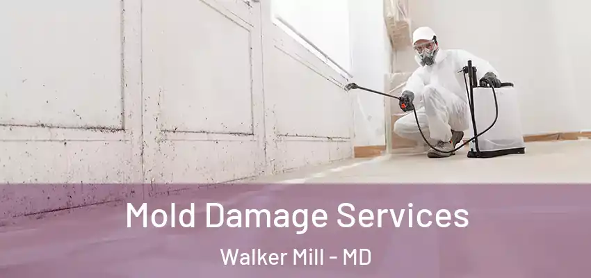  Mold Damage Services Walker Mill - MD