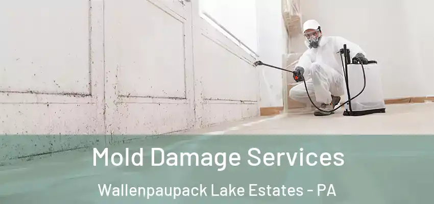 Mold Damage Services Wallenpaupack Lake Estates - PA
