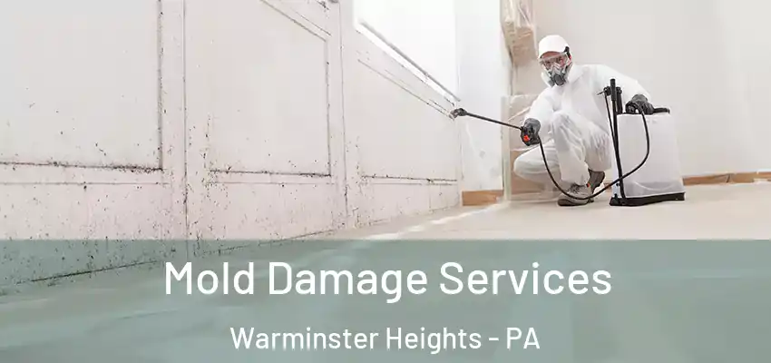  Mold Damage Services Warminster Heights - PA