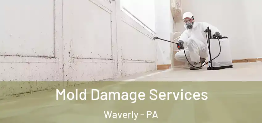  Mold Damage Services Waverly - PA