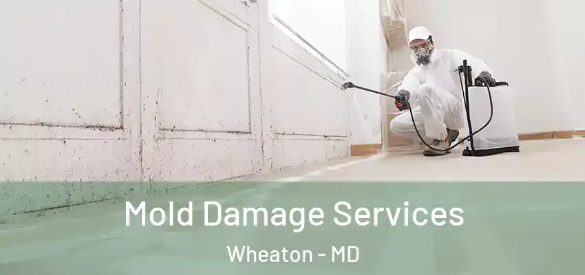  Mold Damage Services Wheaton - MD