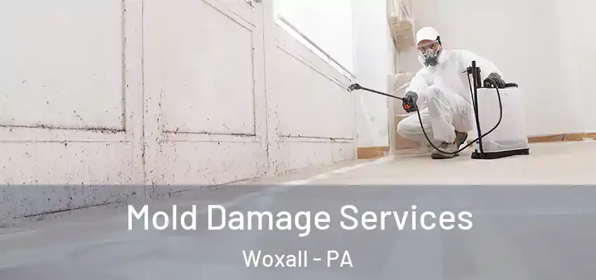 Mold Damage Services Woxall - PA