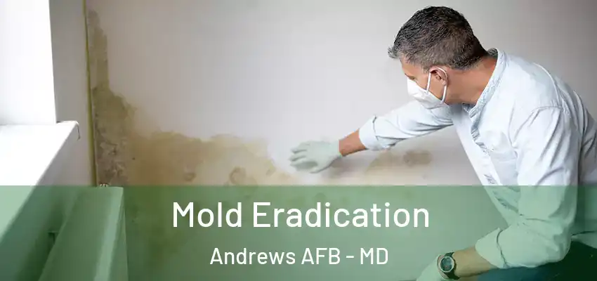  Mold Eradication Andrews AFB - MD