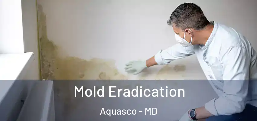  Mold Eradication Aquasco - MD