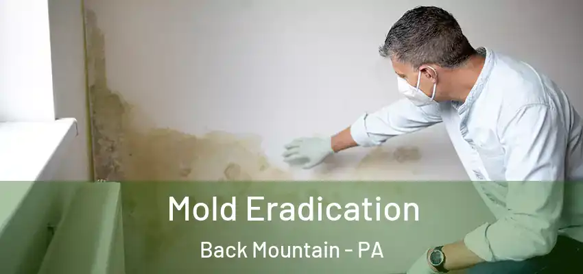  Mold Eradication Back Mountain - PA