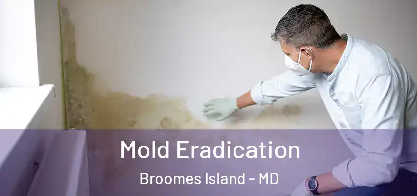Mold Eradication Broomes Island - MD