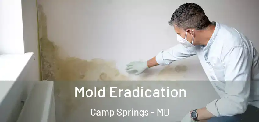Mold Eradication Camp Springs - MD