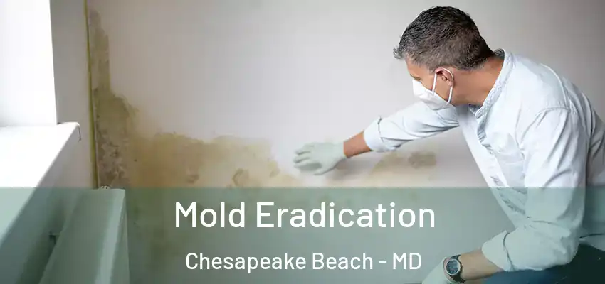 Mold Eradication Chesapeake Beach - MD