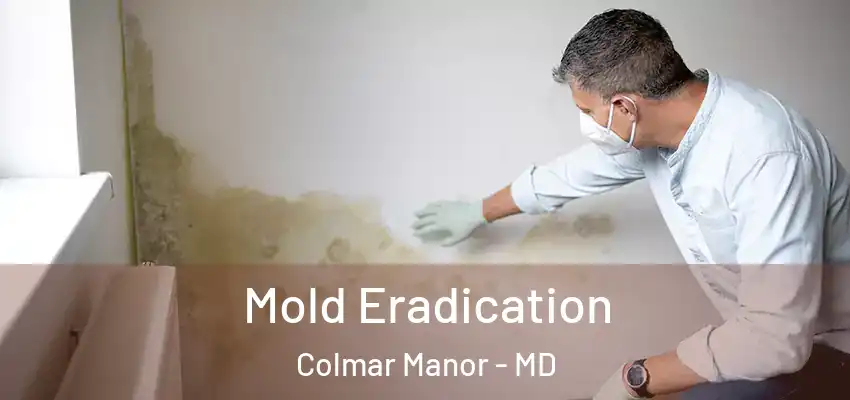  Mold Eradication Colmar Manor - MD