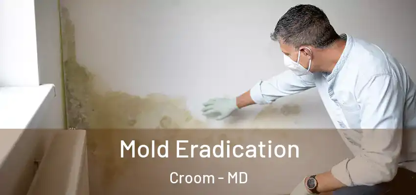  Mold Eradication Croom - MD