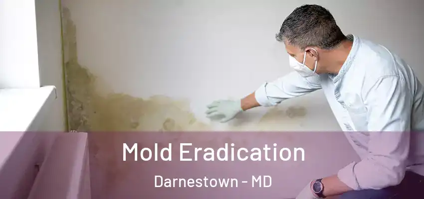 Mold Eradication Darnestown - MD