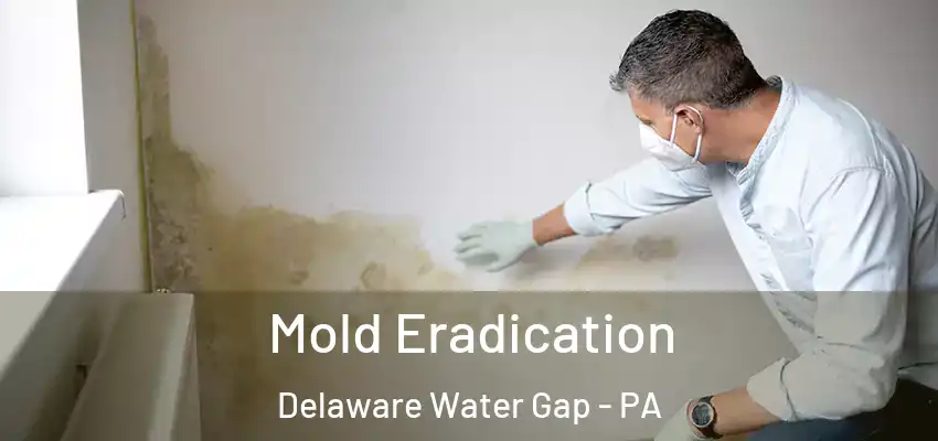 Mold Eradication Delaware Water Gap - PA