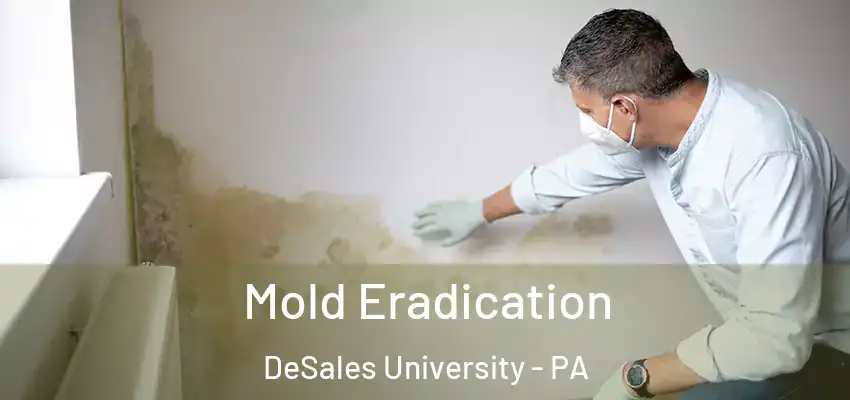 Mold Eradication DeSales University - PA