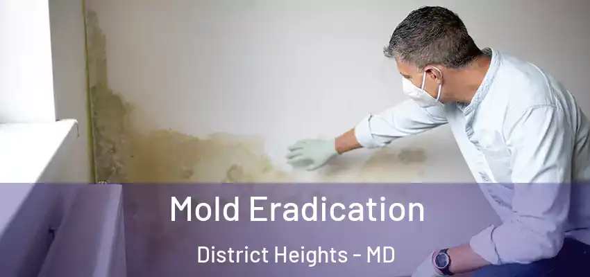 Mold Eradication District Heights - MD