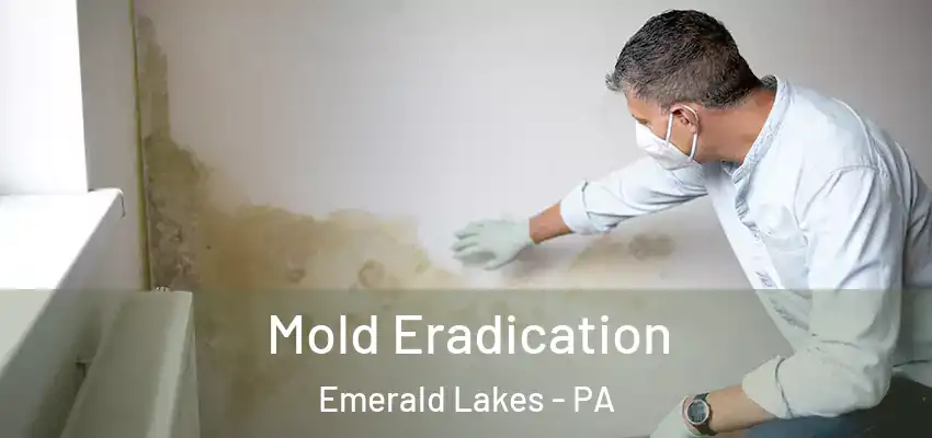 Mold Eradication Emerald Lakes - PA