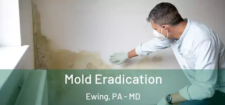 Mold Eradication Ewing, PA - MD