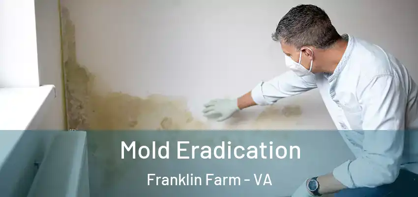  Mold Eradication Franklin Farm - VA