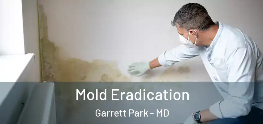  Mold Eradication Garrett Park - MD