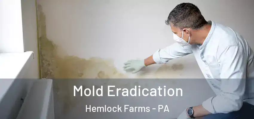  Mold Eradication Hemlock Farms - PA