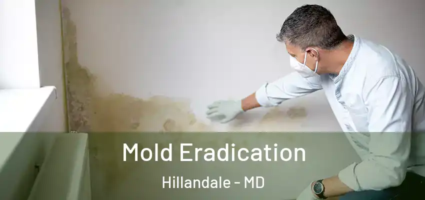 Mold Eradication Hillandale - MD