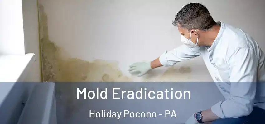  Mold Eradication Holiday Pocono - PA