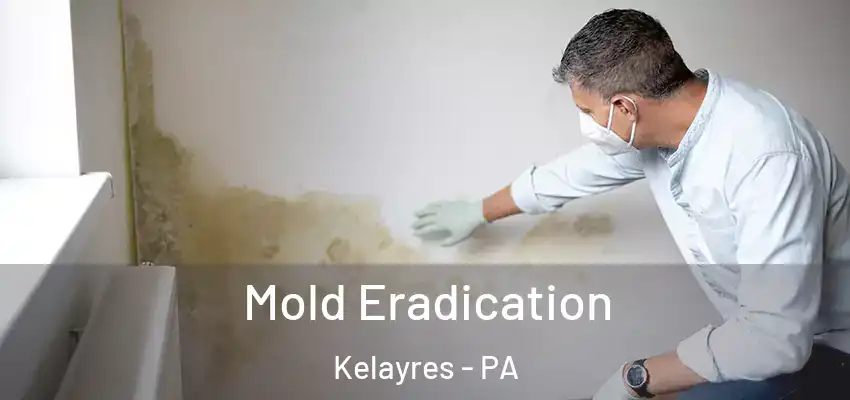  Mold Eradication Kelayres - PA
