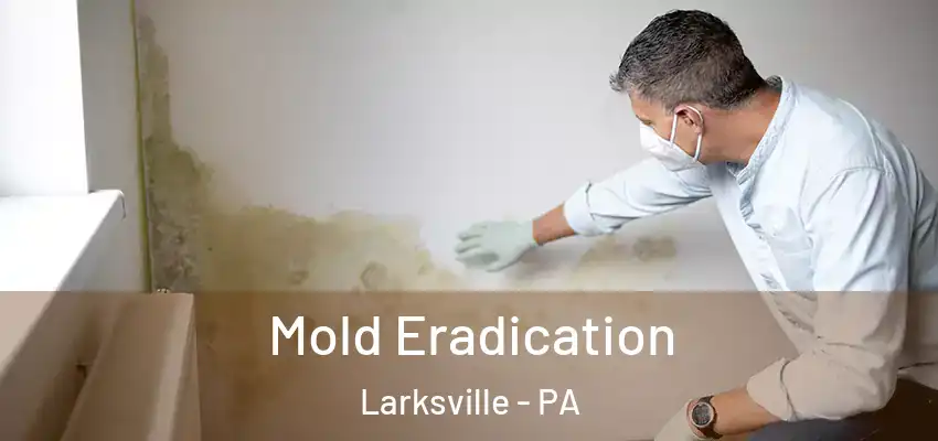  Mold Eradication Larksville - PA
