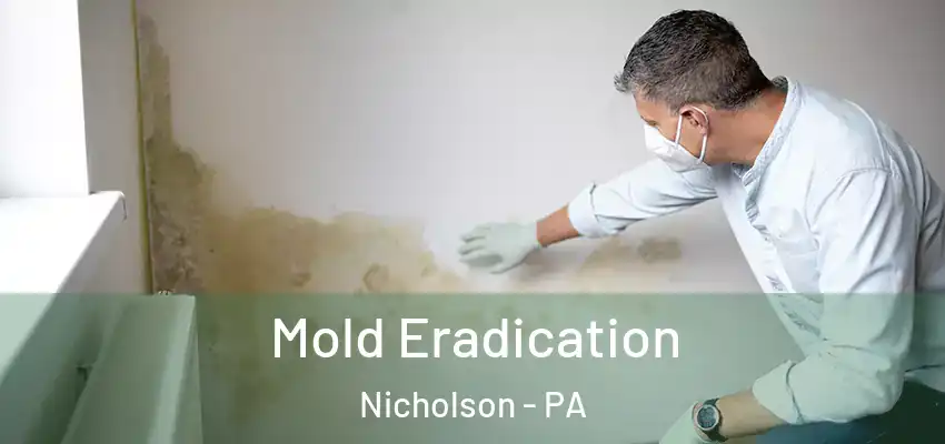 Mold Eradication Nicholson - PA