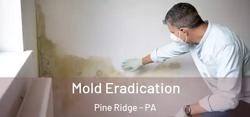 Mold Eradication Pine Ridge - PA