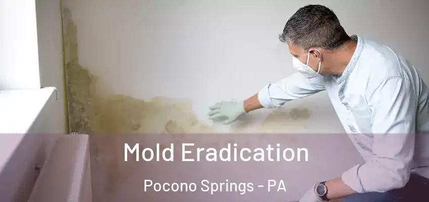 Mold Eradication Pocono Springs - PA