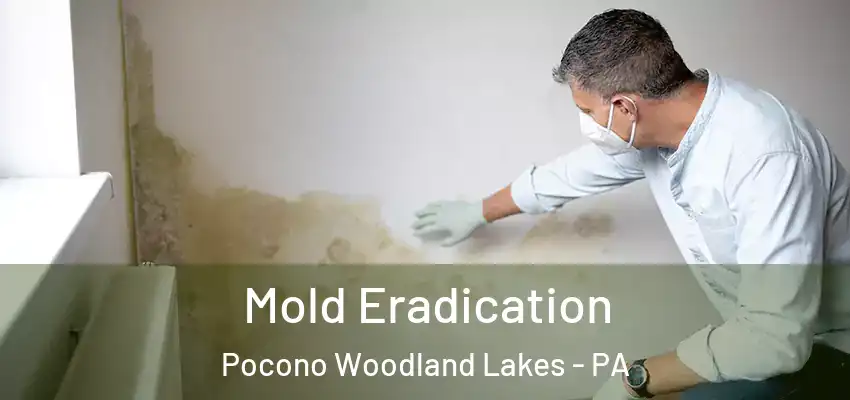 Mold Eradication Pocono Woodland Lakes - PA