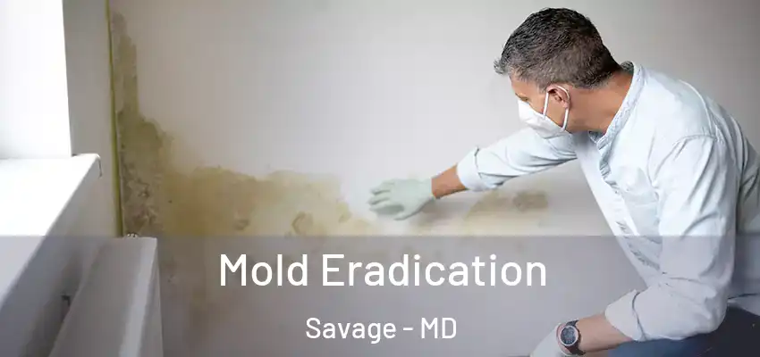  Mold Eradication Savage - MD