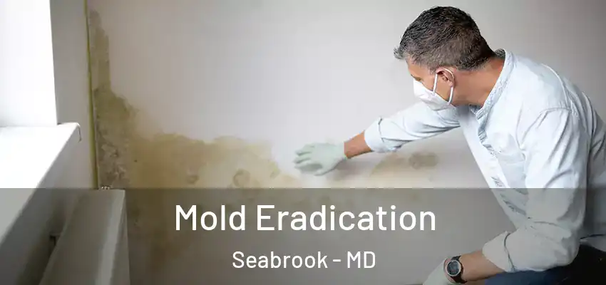 Mold Eradication Seabrook - MD