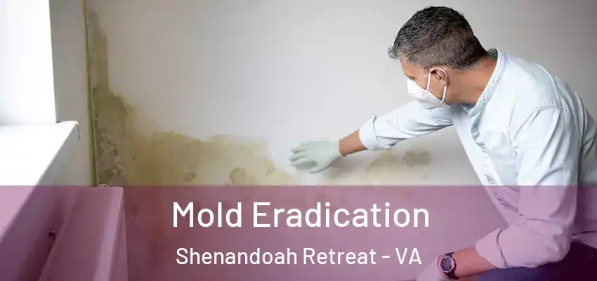  Mold Eradication Shenandoah Retreat - VA