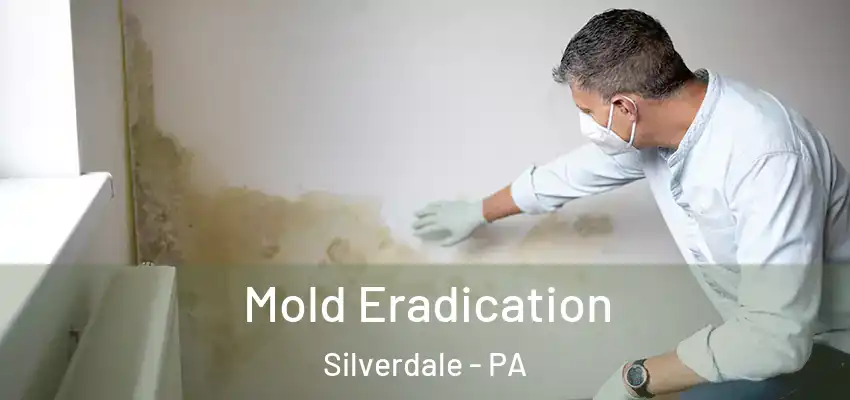 Mold Eradication Silverdale - PA
