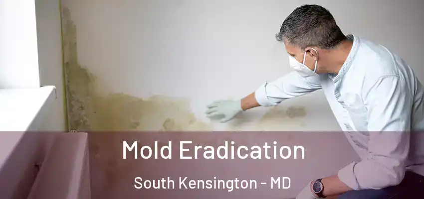 Mold Eradication South Kensington - MD