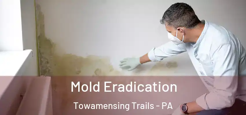 Mold Eradication Towamensing Trails - PA