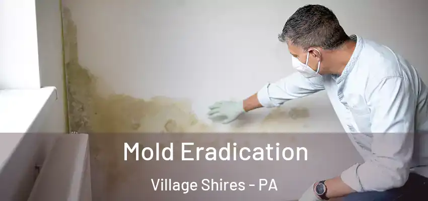 Mold Eradication Village Shires - PA