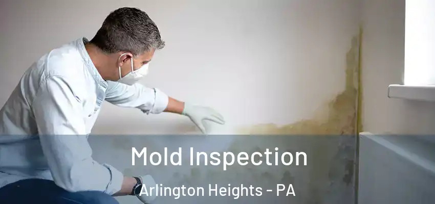  Mold Inspection Arlington Heights - PA