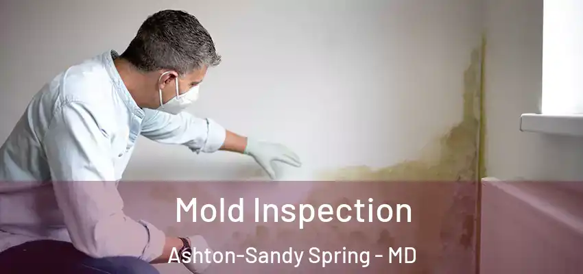 Mold Inspection Ashton-Sandy Spring - MD