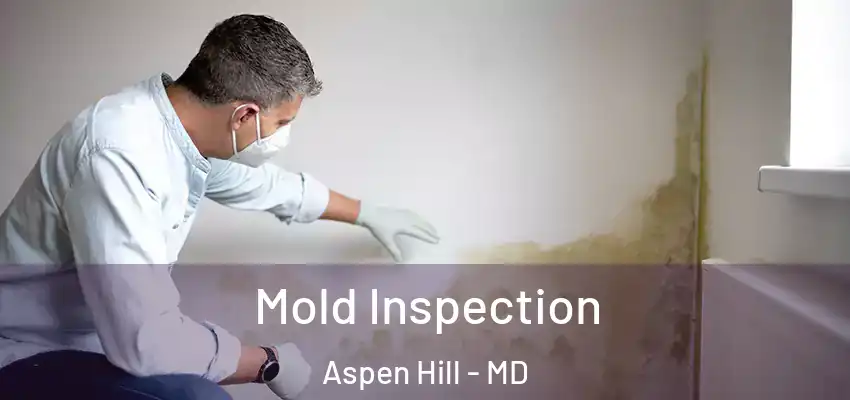 Mold Inspection Aspen Hill - MD