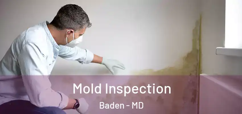  Mold Inspection Baden - MD