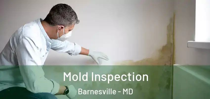  Mold Inspection Barnesville - MD