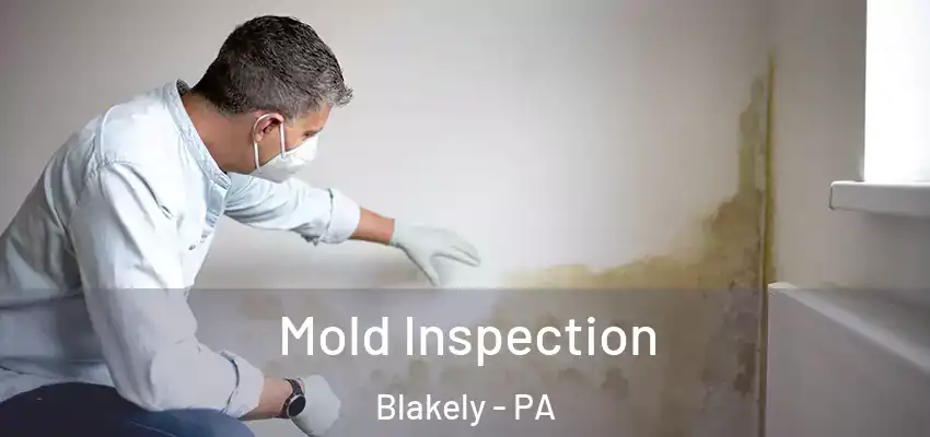  Mold Inspection Blakely - PA
