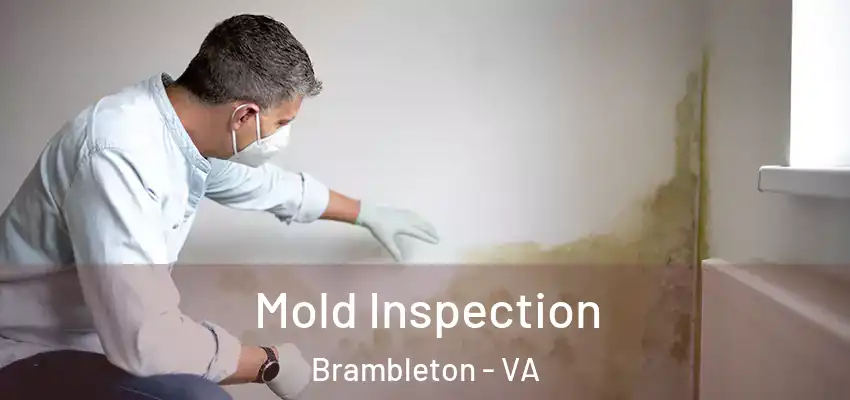Mold Inspection Brambleton - VA