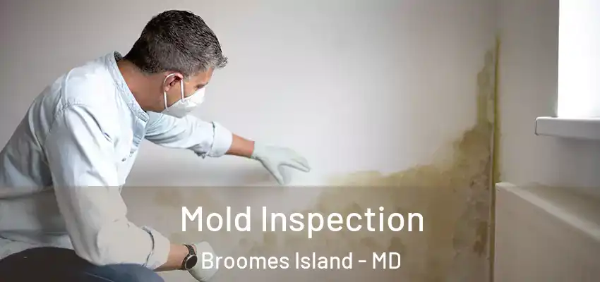  Mold Inspection Broomes Island - MD