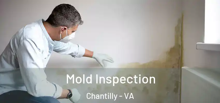  Mold Inspection Chantilly - VA