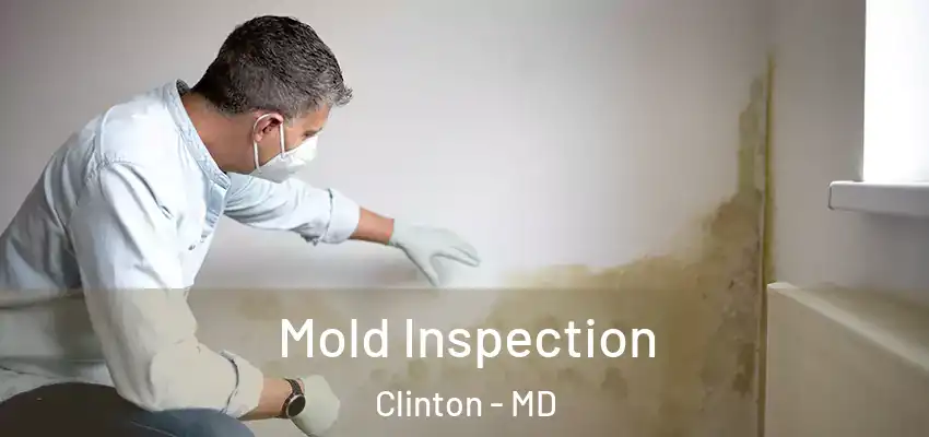  Mold Inspection Clinton - MD