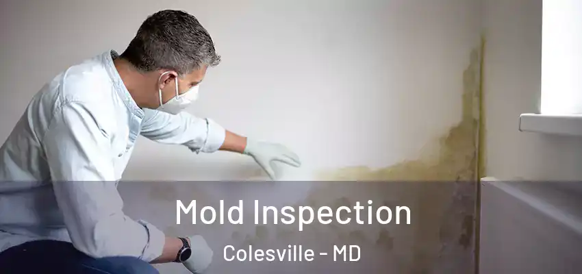  Mold Inspection Colesville - MD