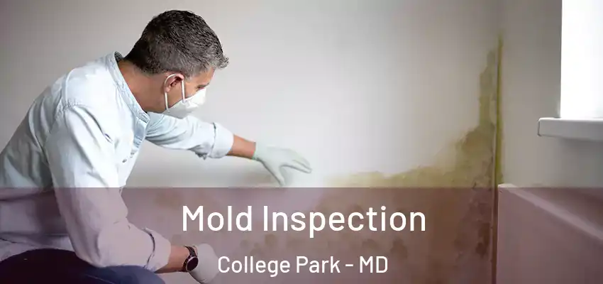  Mold Inspection College Park - MD
